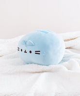 Round Squisheen Plush
