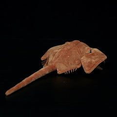 Horseshoe Crab Soft Stuffed Plush Toy