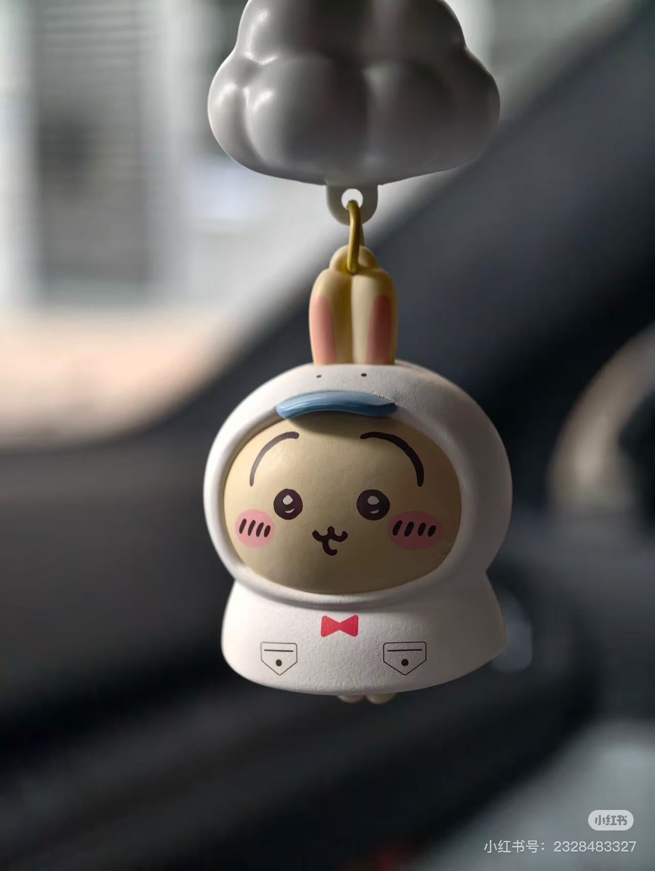 Usagi Collection | Chiikawa x Miniso