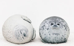 Seal Soft Stuffed Plush Throw Pillow Cushion Toy