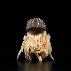 Nautilus Soft Stuffed Plush Toy