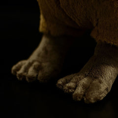 Capybara Soft Stuffed Plush Toy